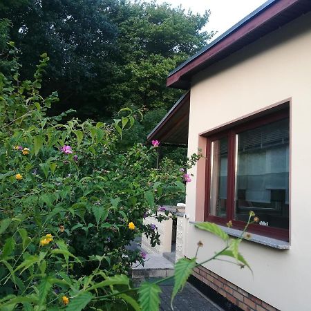 Ferienhaus Am Wald Loissin 外观 照片