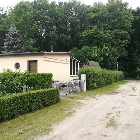 Ferienhaus Am Wald Loissin 外观 照片
