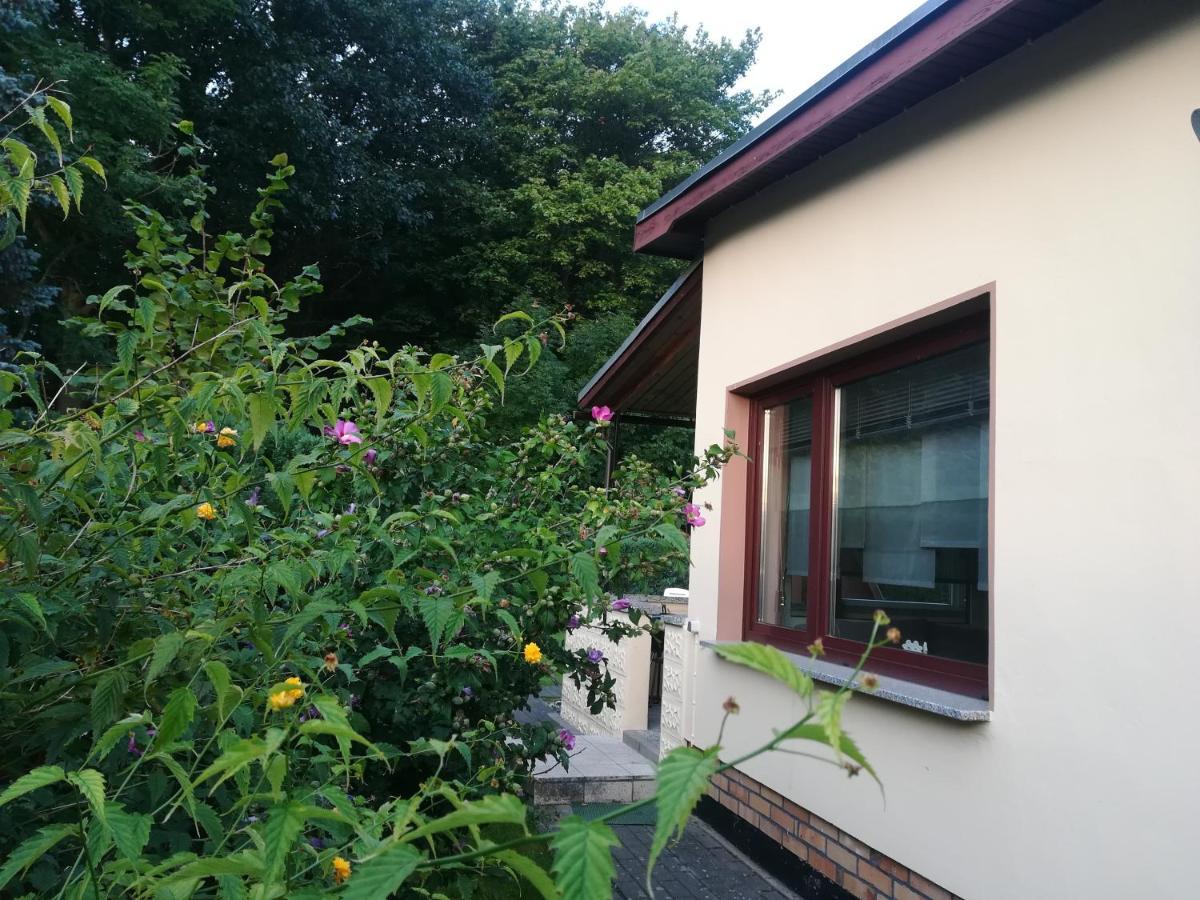 Ferienhaus Am Wald Loissin 外观 照片