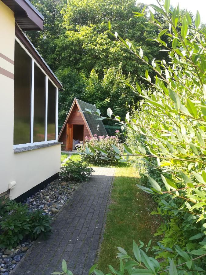 Ferienhaus Am Wald Loissin 外观 照片