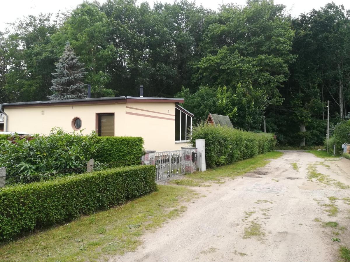 Ferienhaus Am Wald Loissin 外观 照片